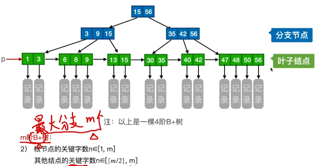 image-20241017003810669