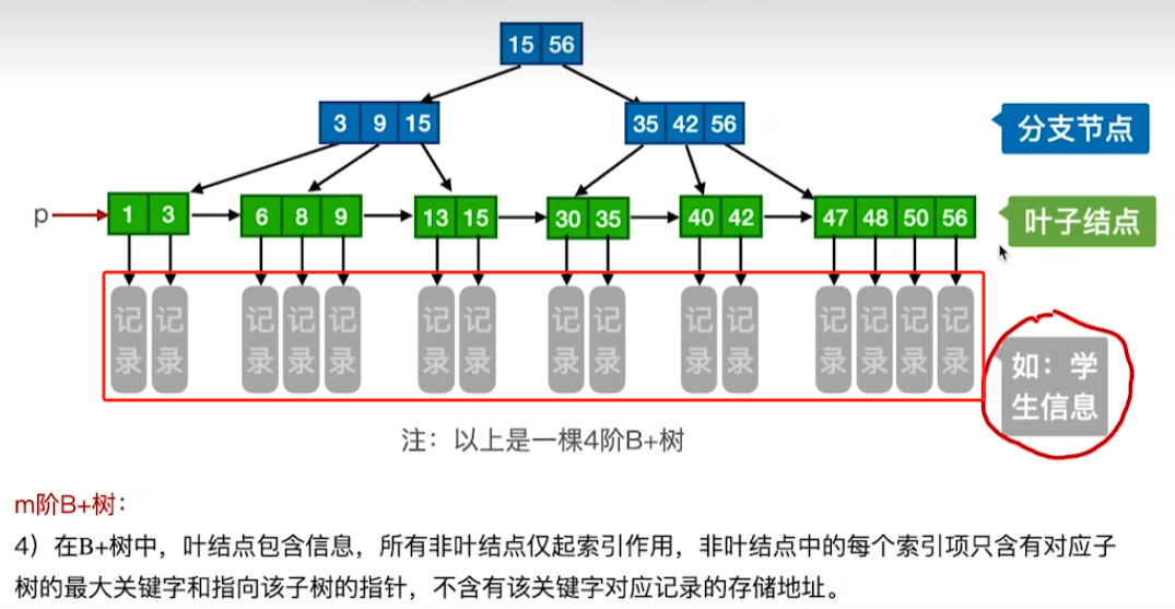 image-20241017003951671