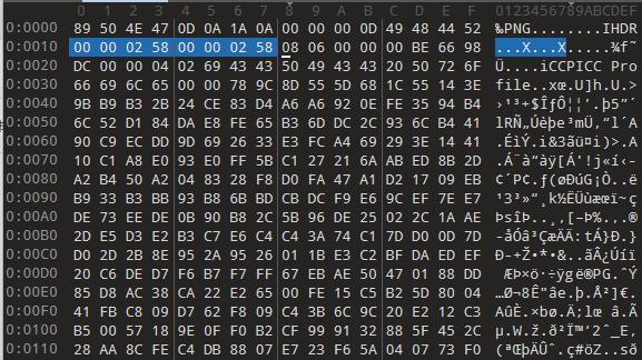 image-20240919005014571